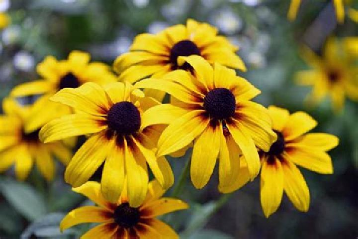 10 escort profiles in Fresno de la Vega, Spain. Browse companions, services, rates and book online. Incall and outcall available.