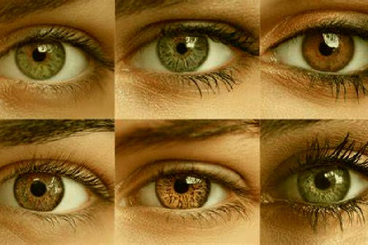 11 escort profiles in Zarnovica, Slovakia. Browse companions, services, rates and book online. Incall and outcall available.