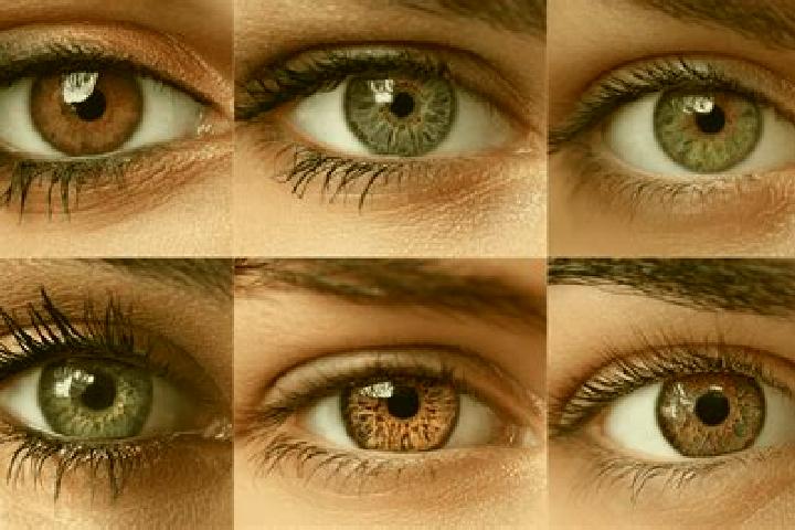 8 escort profiles in Camandona, Italy. Browse companions, services, rates and book online. Incall and outcall available.