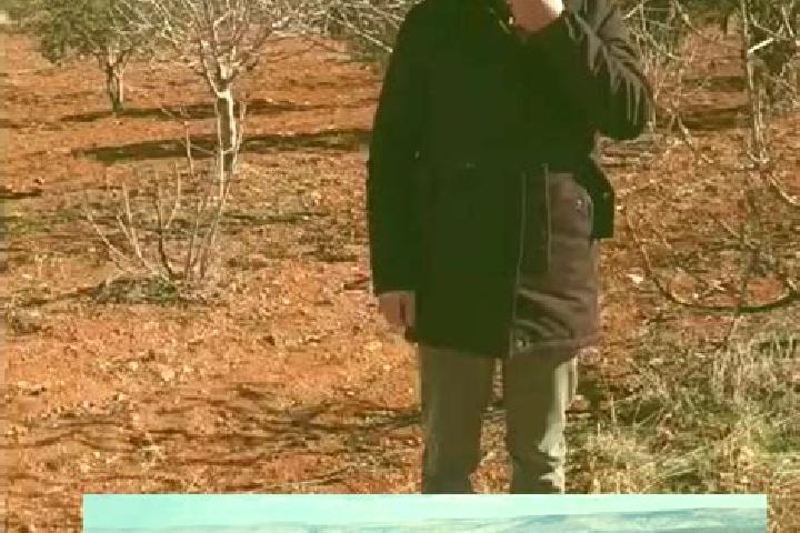 Abigail, 29 — Escort in Lavertezzo, Switzerland