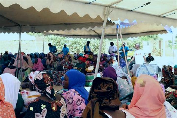 Addison, 25 — Escort in Branchville, United States