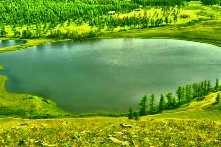 Alice, 36 — Escort in Hodrogo, Mongolia