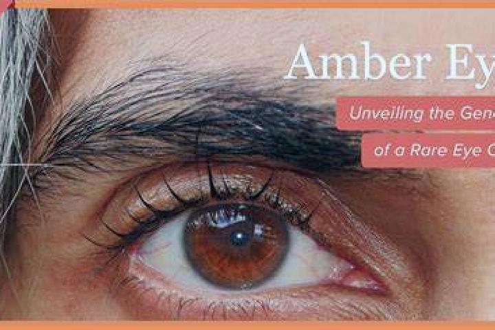 Amelia, 32, a red dark-eyed caribbean companion based in Juhut. Offering Duos, Dinner Date, Striptease, CIM, Party Girl. Available for incall and outcall, da...