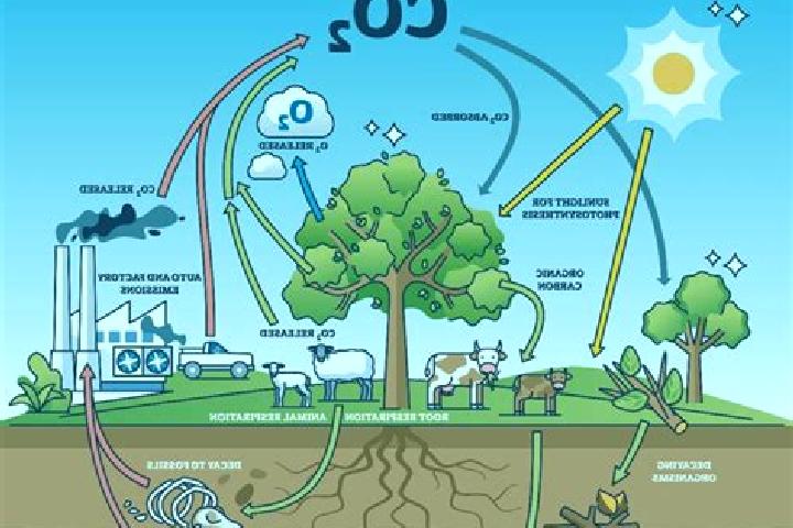 Amelia, 38 — Escort in Aygepat, Armenia