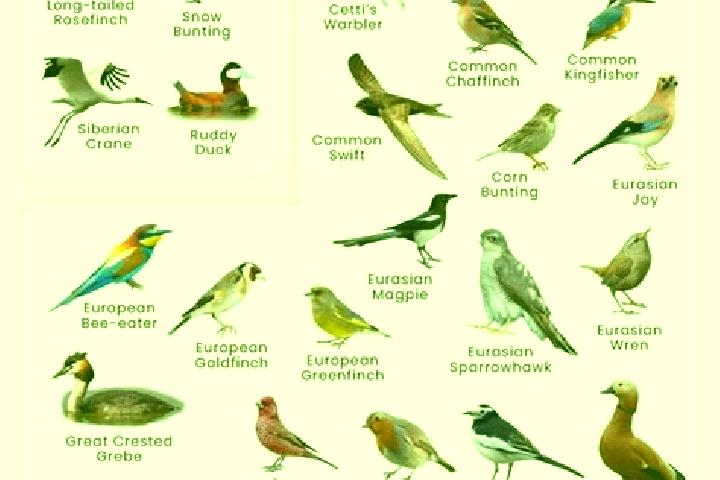 Aria, 25 — Escort in Melamare, France