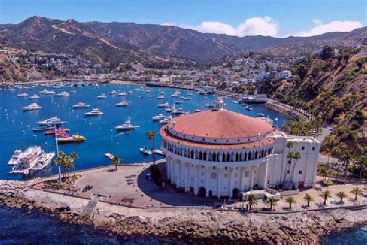 Ariana, 26, a platinum blonde dark-eyed indian companion based in Stiubieni. Offering OWO, GFE, 69, Striptease. Available for incall and outcall, day and eve...