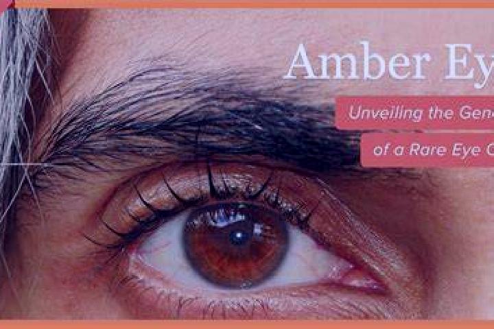 Aubrey, 39, a black hazel-eyed caucasian companion based in Lauenhagen. Offering Domination, Party Girl, Massage, 69. Available for incall and outcall, overn...