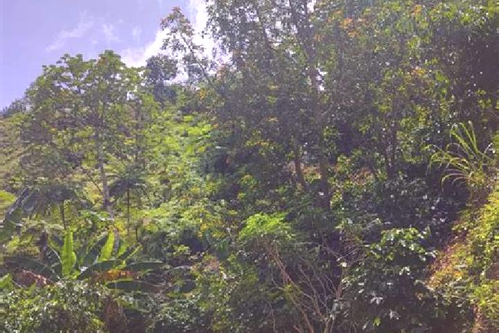 Aurora, 27 — Escort in Fleckney, United Kingdom