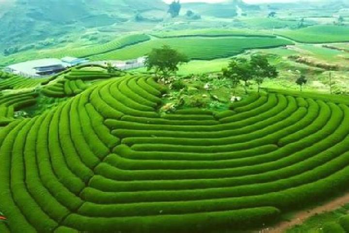 Ava, 25 — Escort in Lesparre-Medoc, France