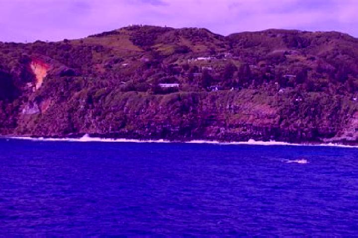 Browse escort listings across 1 pages of cities in Pitcairn. Local companions, services and rates. Page 1 of 1.