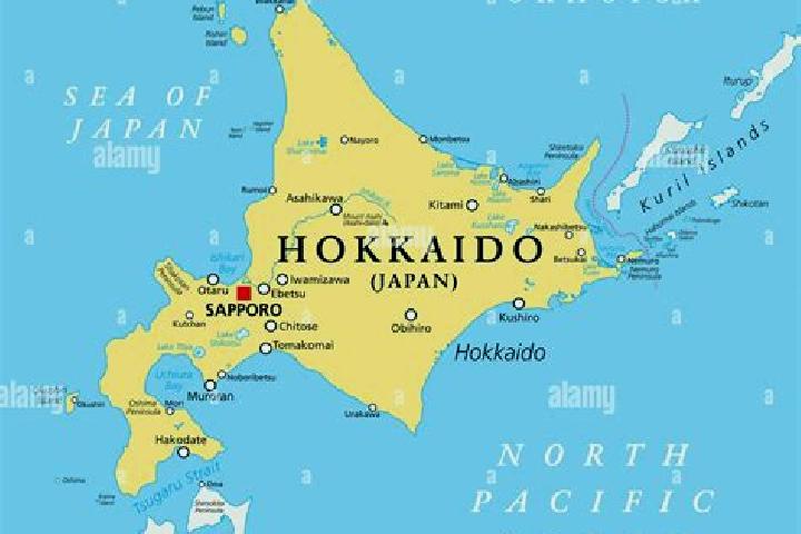 Chloe, 37, a red green-eyed ebony companion based in Stewartby. Offering Overnight, OWO, CIM, Girlfriend Experience. Available for incall and outcall, overni...