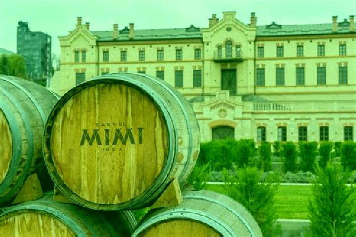 Elizabeth, 27 — Escort in Darrtown, United States