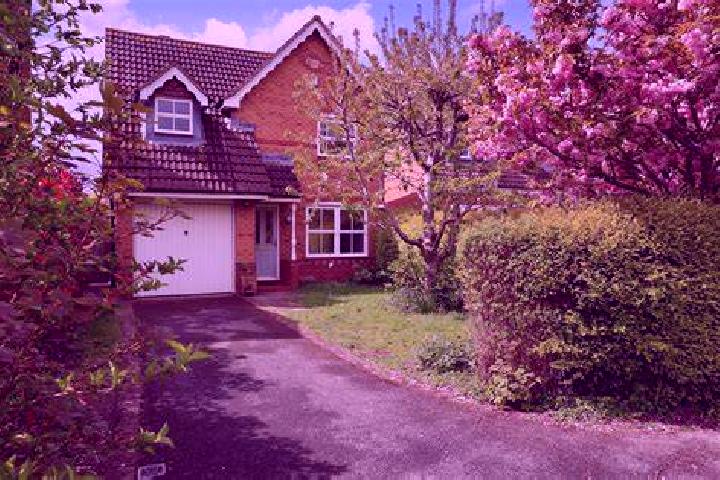 Ella, 32 — Escort in Rongshui, China