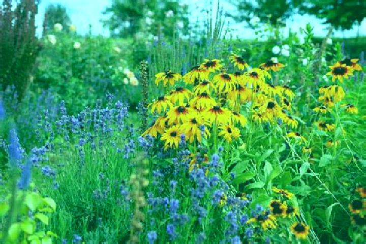 Ellie, 21, a red dark-eyed slavic companion based in Llano Abajo. Offering Domination, Girlfriend Experience, Tantra, CIM. Available for incall and outcall, ...