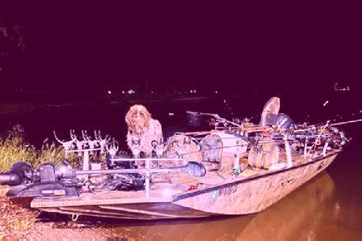 Ellie, 26 — Escort in Laschia, Romania