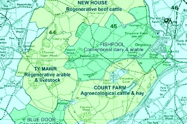 Emily, 21 — Escort in Saint-Thurien, France