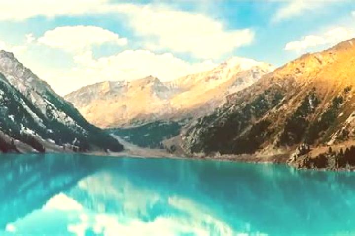 escort Amora