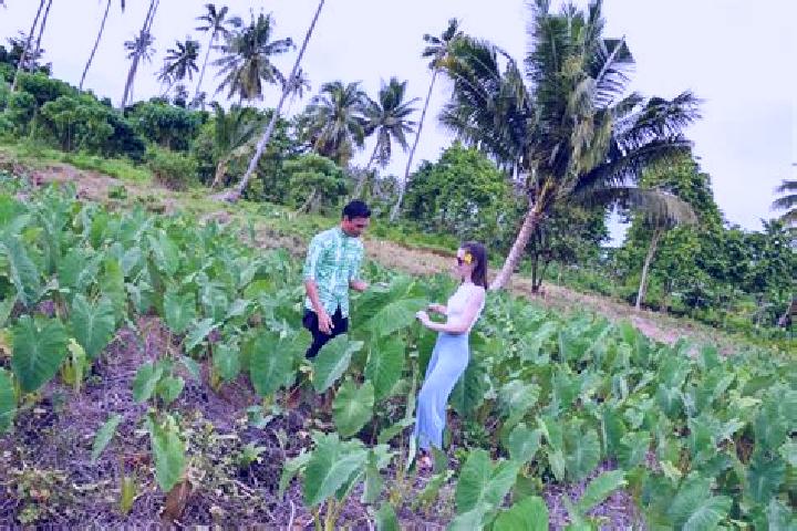 escort Asau Village