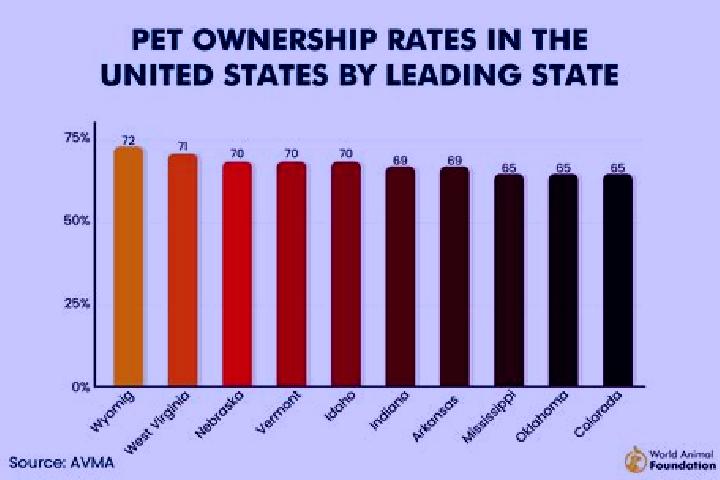escort Babag
