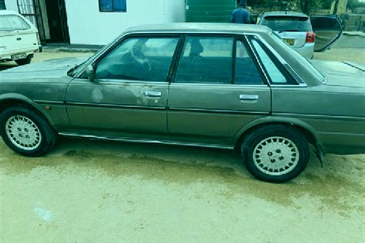 escort Borolong