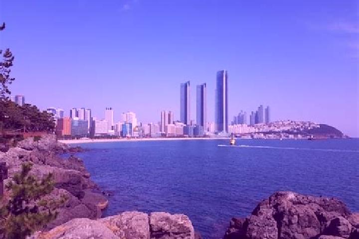 escort Busan