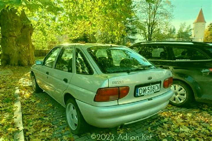 escort Grossweitzschen