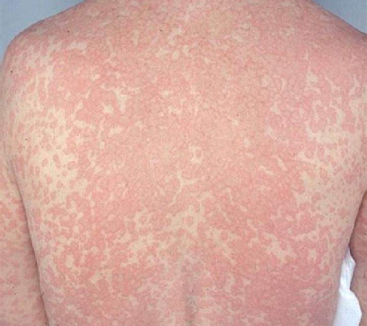 escort Hayanist