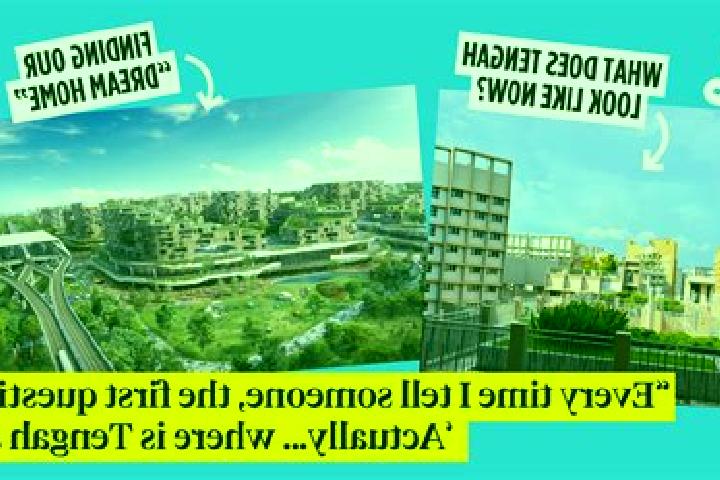 escort Holovyn