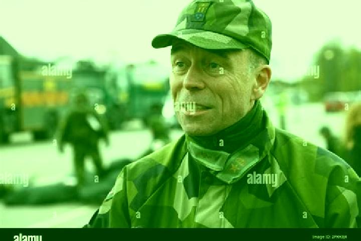 escort Malmslaett