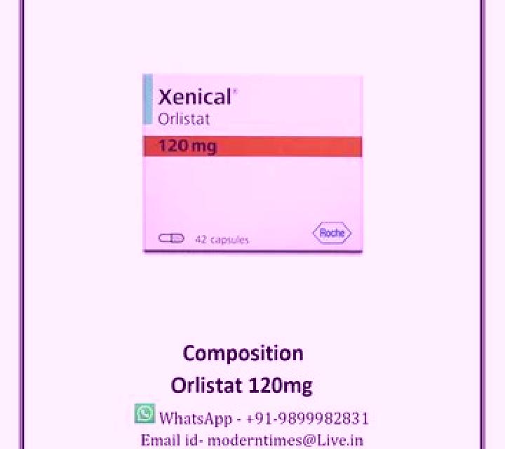 escort Manatee Road