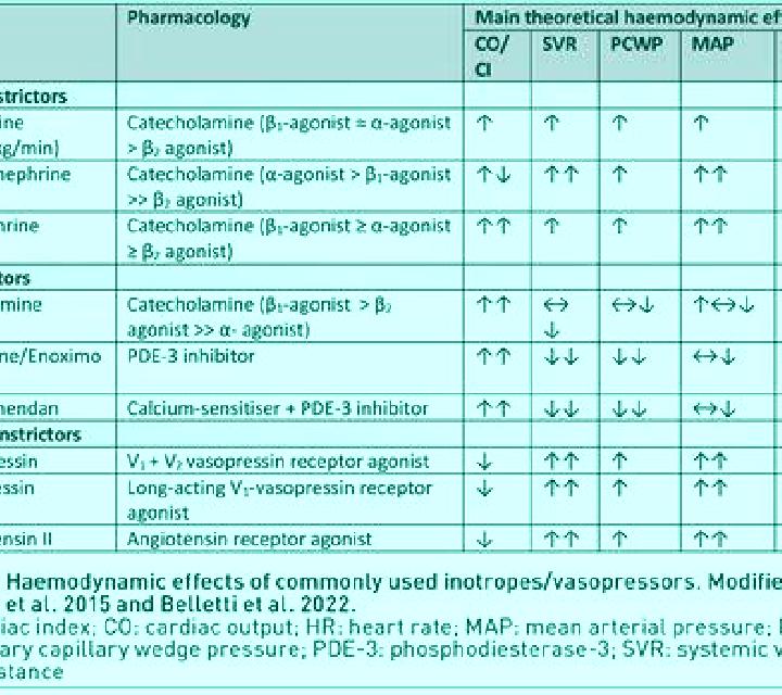 escort Muleng