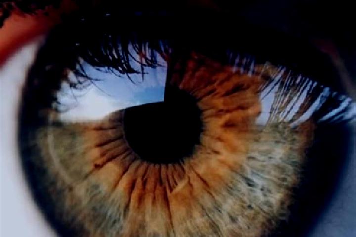 escort Na Di