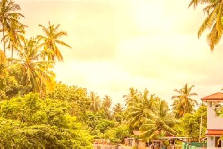 escort Negombo