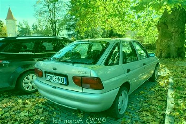 escort Novosele