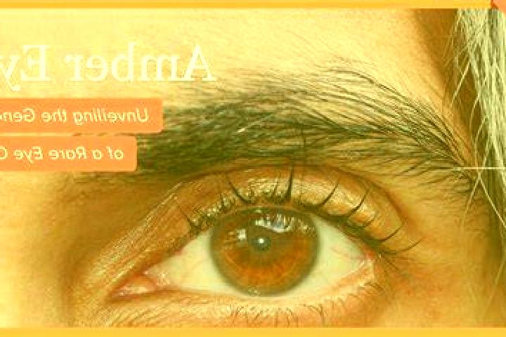 escort Salaya