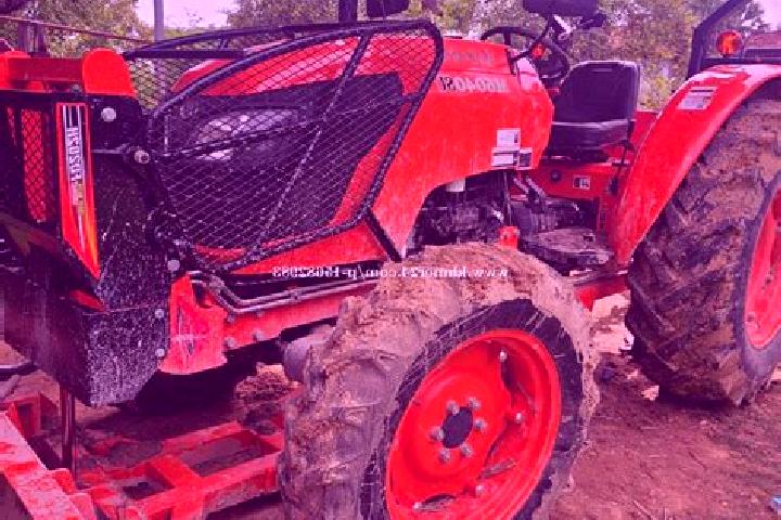 escort Samoded