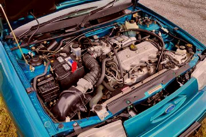 escort Socha