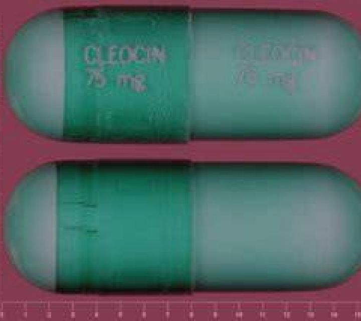 escort Struisbaai