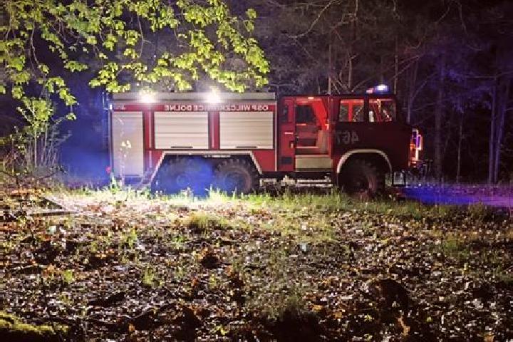escort Swierklany Dolne
