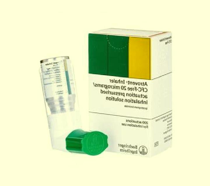 escort Ujung Gading