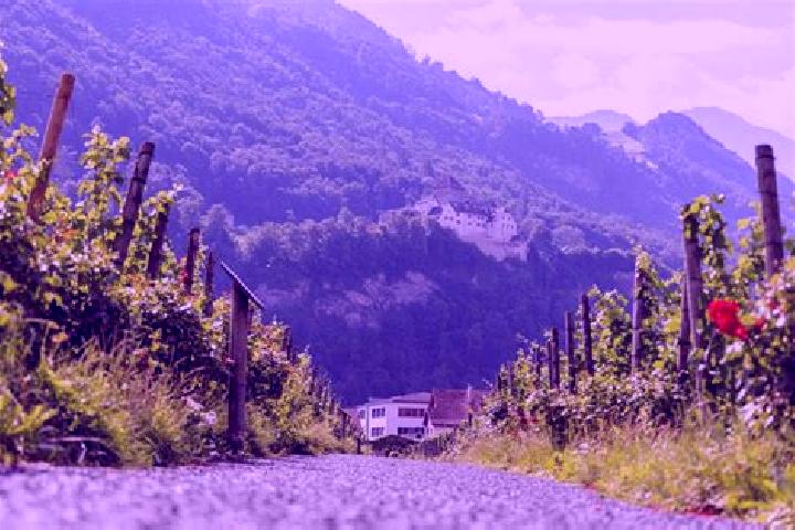 escort Vaduz