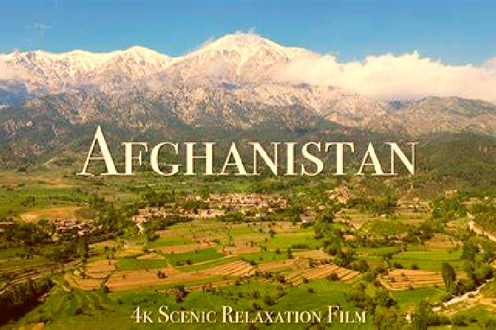 Escorts Compiano, Italy — Local Companions