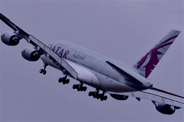 Escorts Iglesia Vieja, Mexico — Local Companions