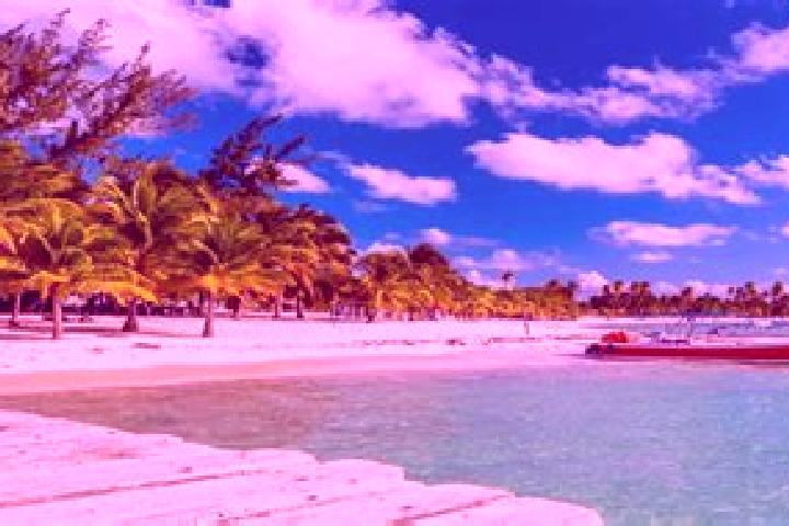 Escorts in Dominican Republic — City Directory
