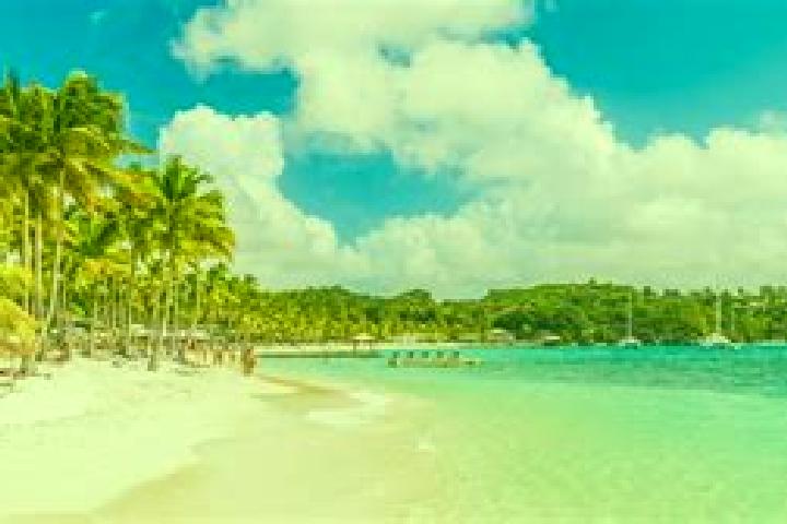 Escorts in Guadeloupe — City Directory