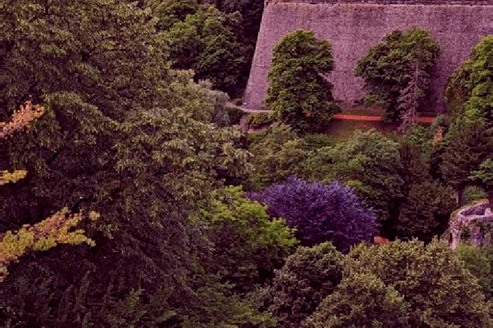 Escorts in Luxembourg — City Directory