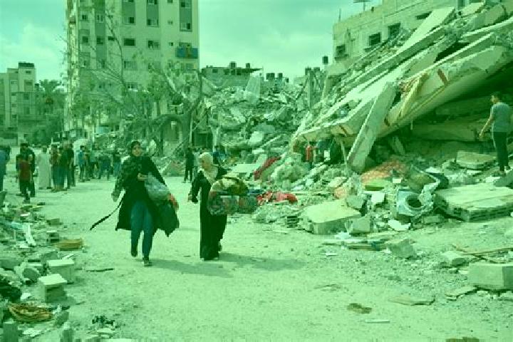 Escorts in Palestine — City Directory
