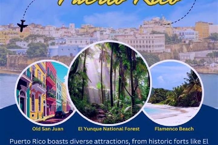 Escorts in Puerto Rico — City Directory