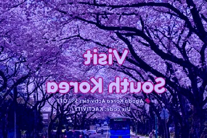 Escorts in South Korea — City Directory
