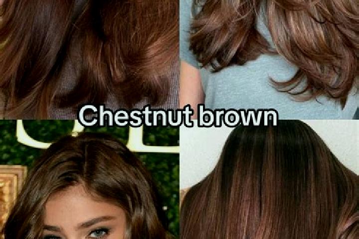 Escorts Levoca, Slovakia — Local Companions